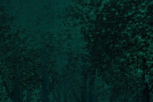 森林暗色调海报背景