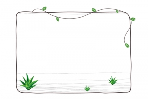 花卉植物边框