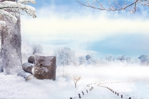 冬季美丽背景