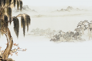中国风柳树荷花海报背景