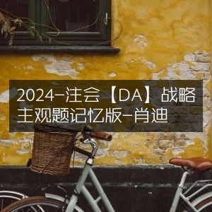 2024注会【DA】战略主观题精华记忆版-肖迪