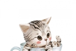 卡通萌猫