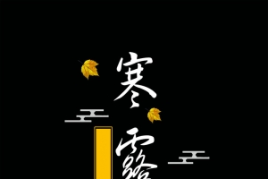 微信配图中国风寒露节气海报背景psd
