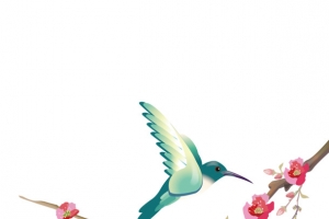 矢量鸟和花