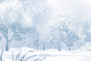 树林唯美雪景背景banner