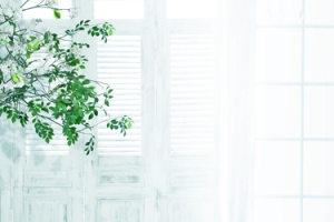 简约家居服装banner