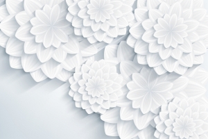 白色剪纸漂亮花朵