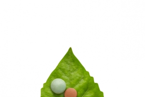 治愈绿色叶子里的西药片实物