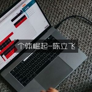 个体崛起，陈立飞力作，解锁个人能力提升新境界