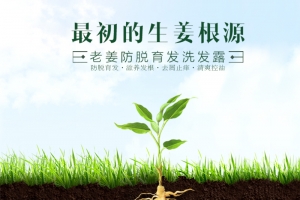 创意生姜洗发水主图