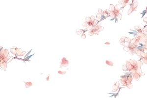 右边角 手绘花瓣png素材