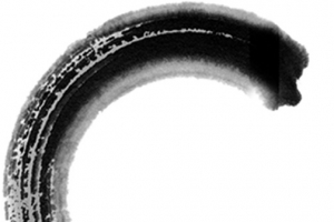 中医文化宣传彩页