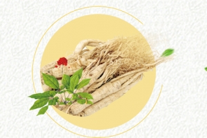 养生人参促销简约小清新背景