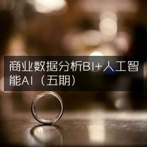 商业数据分析与AI智能应用（第五期）