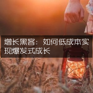 增长黑客，低成本引爆成长与个人能力提升指南