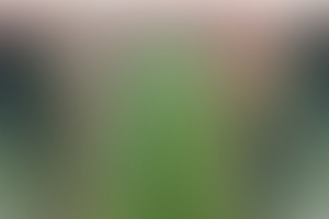 景深效果高斯模糊绿色