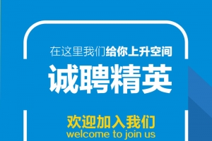 蓝色诚聘精英招聘背景