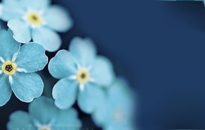 海军风背景banner