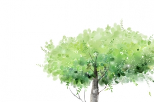 高清摄影素描手绘树木