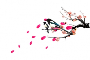 鸟梅花漂浮花瓣
