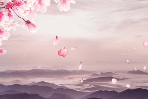 樱花背景