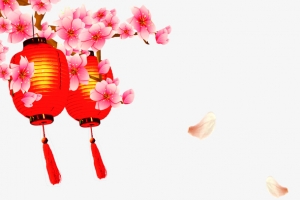 国庆灯笼花瓣