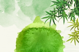 草绿色水墨淡雅24节气小满海报背景素材