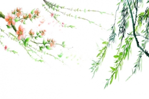 绿色现代节日装饰