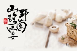 蘑菇菌类广告背景素材