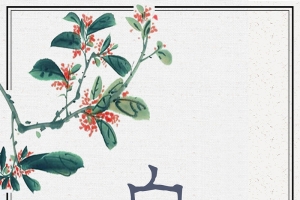 白露二十四节气简约风格海报H5