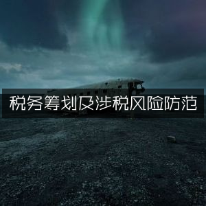 税务筹划与涉税风险有效防控策略