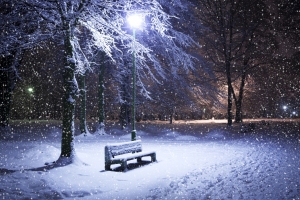 公园 晚上 雪 灯 冬季 树木 5K风景壁纸