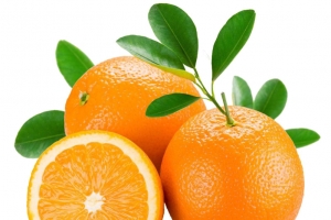 橙子高清PNG透明动植物植物设计素材免费下载