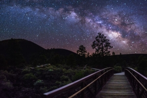 银河 星星 天空 树木 剪影 夜间 4k壁纸 3840x2160