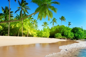 夏天,海洋,太阳,天空,棕榈,海岸,海滩,大自然风景3440x1440壁纸