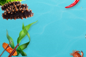 美味大海参简约蓝色banner
