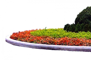 景观花坛素材抠图