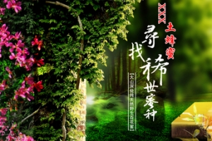 绿色小清新森林蜂蜜banner