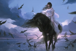 唯美 意境 白裙女孩 骑马 黑马 鸟 海 云 动漫 4k 壁纸