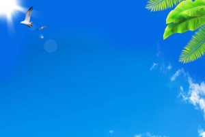 暑假度假沙滩背景模板