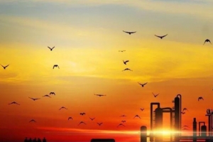 时光易老，不负流年