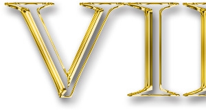 会员vip字样