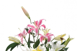 花艺