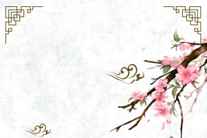 中国风淡绿纹理边框梅花海报背景素材