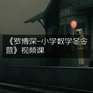 《罗博深小学数学冬令营精选视频课》