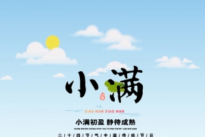 黄色清爽二十四节气小满海报