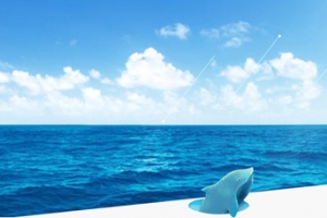 夏威夷风情 海边
