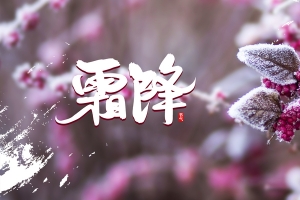 霜降霜花笔刷背景图
