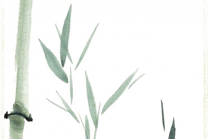 水墨竹叶菊花