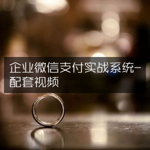 企业微信支付实战系统全解析，配套视频教程